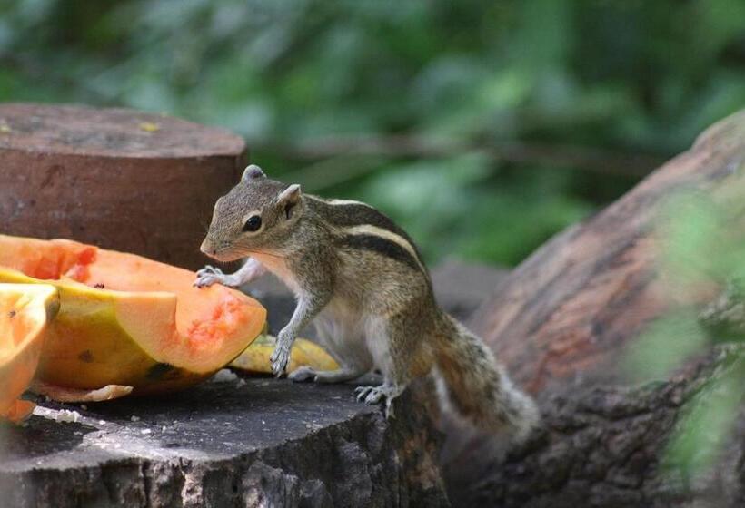 Hotel Thimbiriwewa Eco Resort Wilpattu