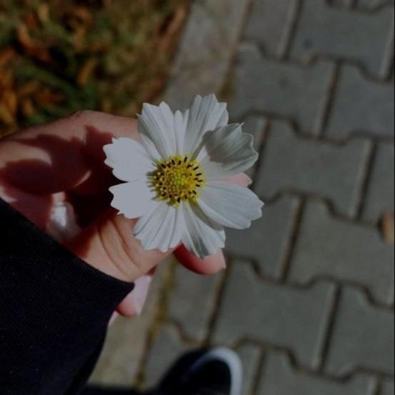 ペンション Foziya Guest House