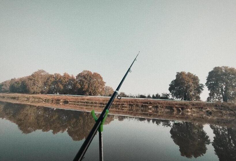 ペンション Foziya Guest House