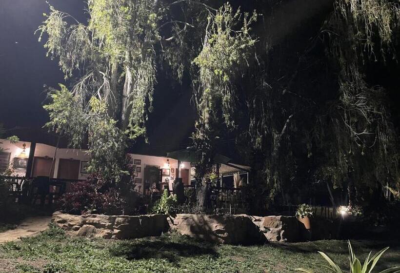 پانسیون Hostal Greenlandomesa