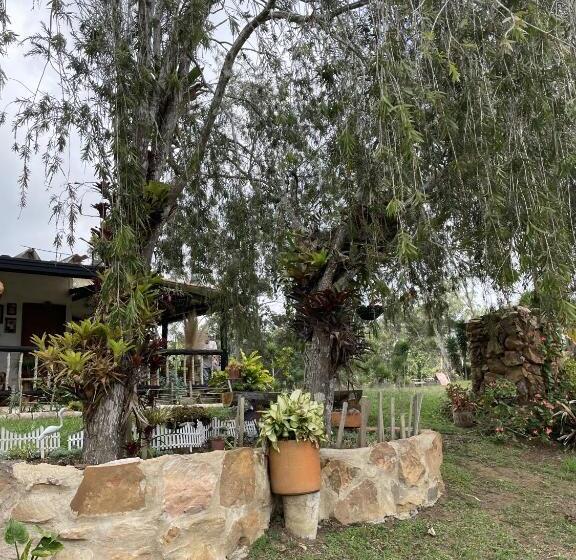 پانسیون Hostal Greenlandomesa