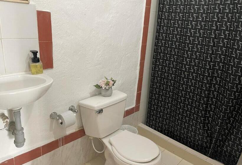 پانسیون Hostal Greenlandomesa