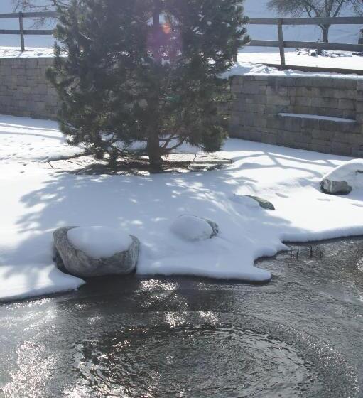 Bed and Breakfast Beat & Ursula S Guest House