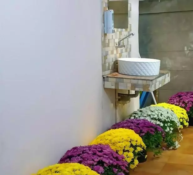 Hotelli Blue Lagoon Villa Pasighat