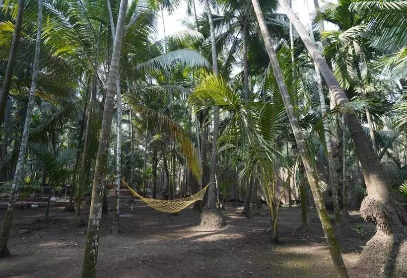 ホテル The Cocario