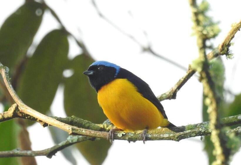 펜션 La Cabaña Del Nyctibius