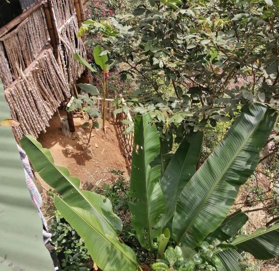 펜션 La Cabaña Del Nyctibius