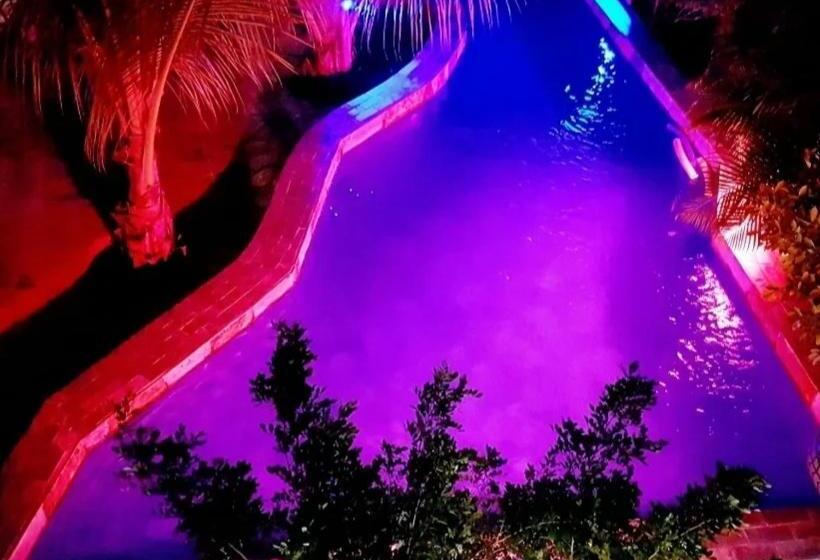 Pension (Hôtel basse catégorie) Regiment Villa