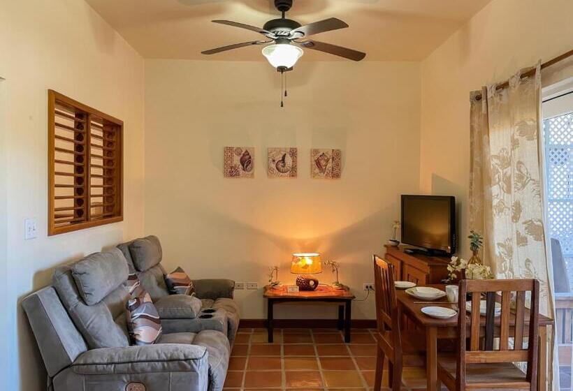 9a Apartments In Sapphire Beach Resort