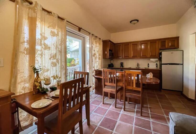 9a Apartments In Sapphire Beach Resort