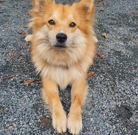 酒店 ฮามีนาเม็ง