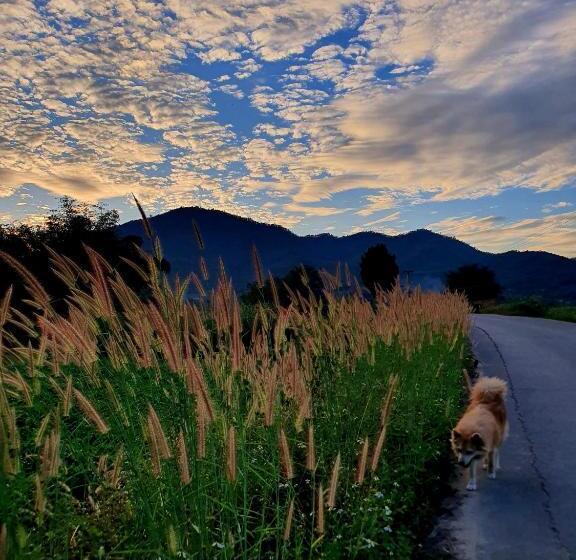 酒店 ฮามีนาเม็ง