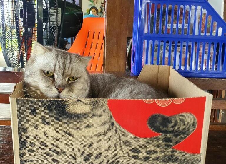 酒店 ฮามีนาเม็ง