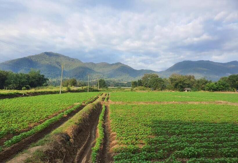 酒店 ฮามีนาเม็ง