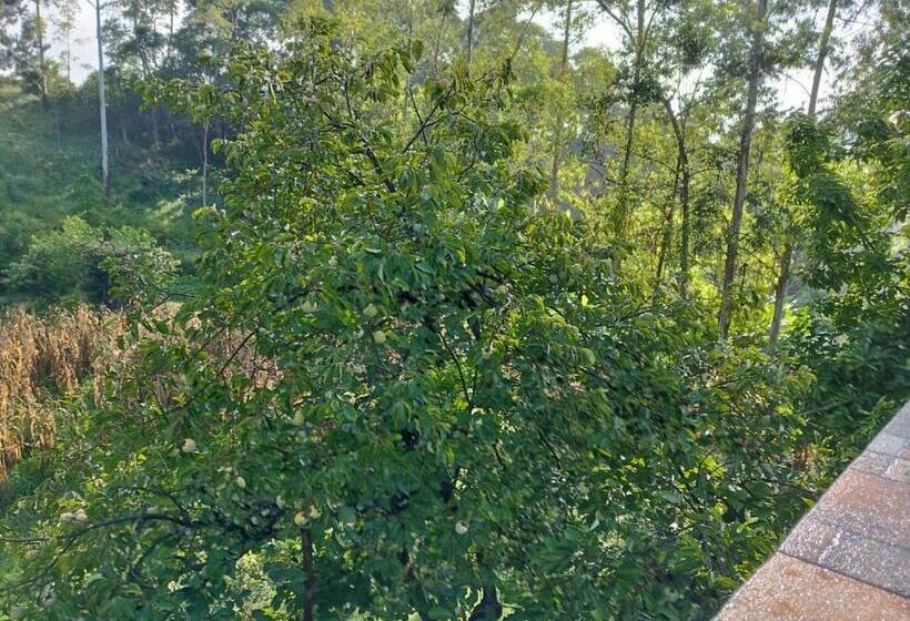 Hotelli Sitio Alice E Flora