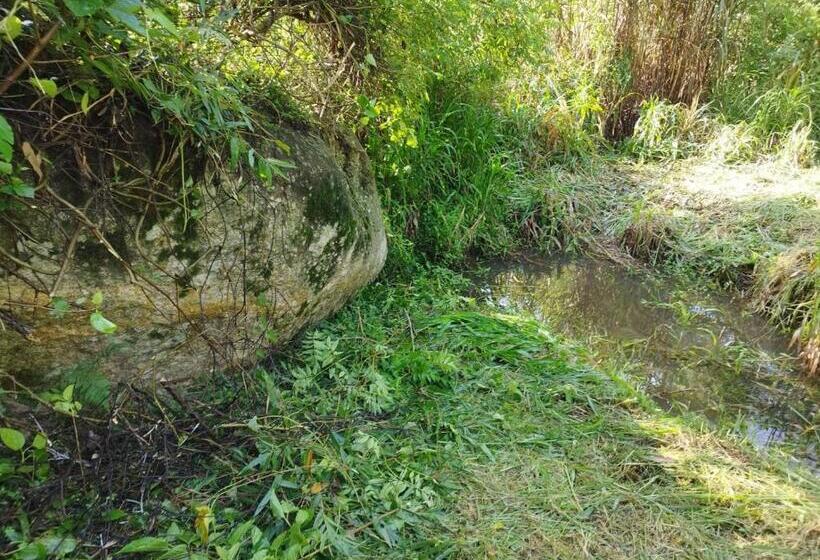 Hotelli Sitio Alice E Flora