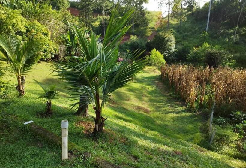 Hotelli Sitio Alice E Flora