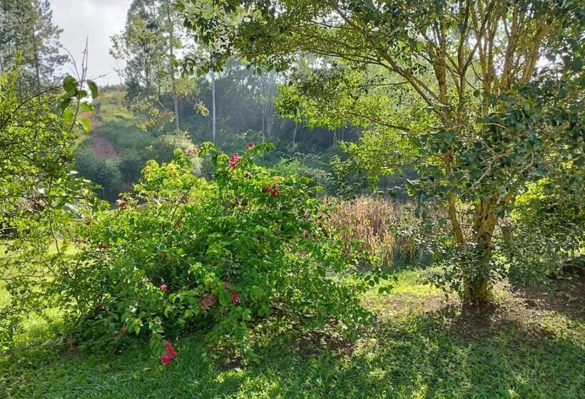 Hotelli Sitio Alice E Flora