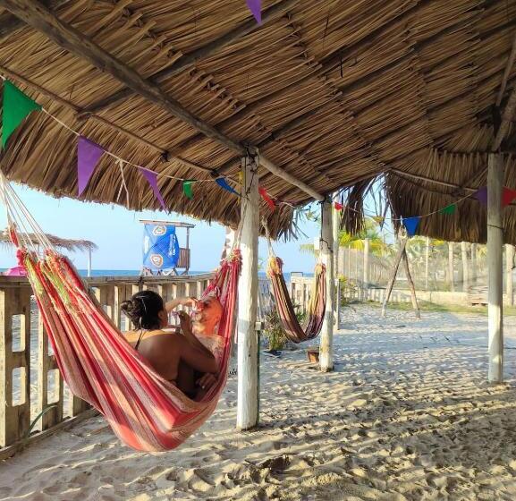 Magia Del Mar Hotel   Restaurante   Bar