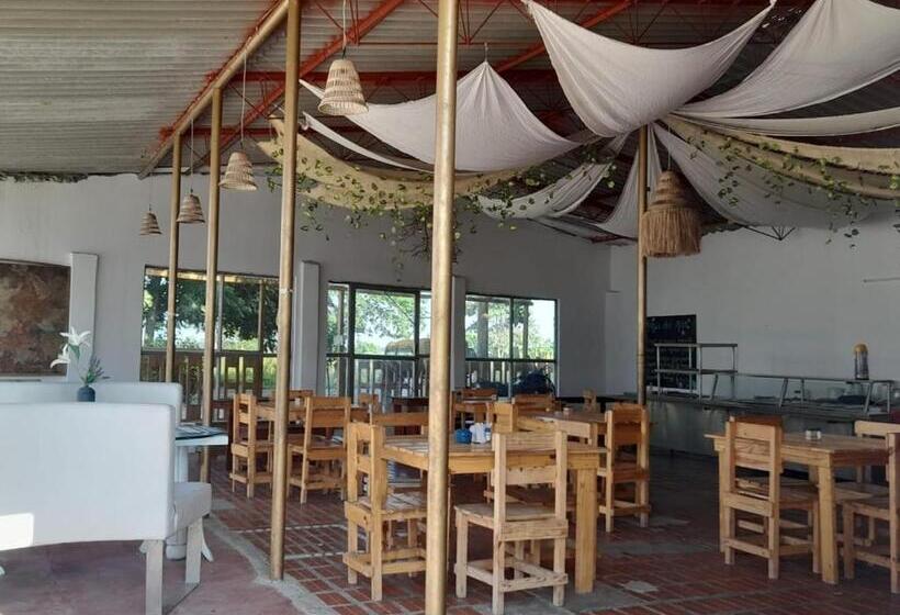 Magia Del Mar Hotel   Restaurante   Bar