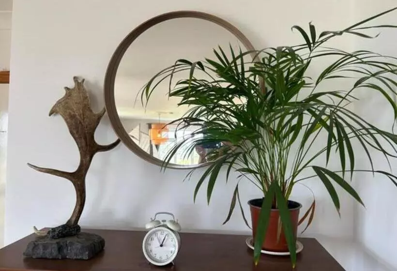 ペンション Beachside Rooms