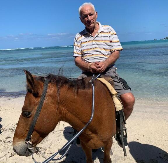 پانسیون Vp18, Lifestyle All Inklusive , Villapark