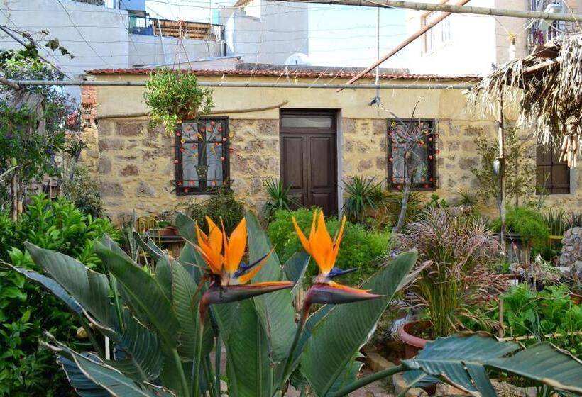 مبيت وإفطار Mystery Garden Guest House