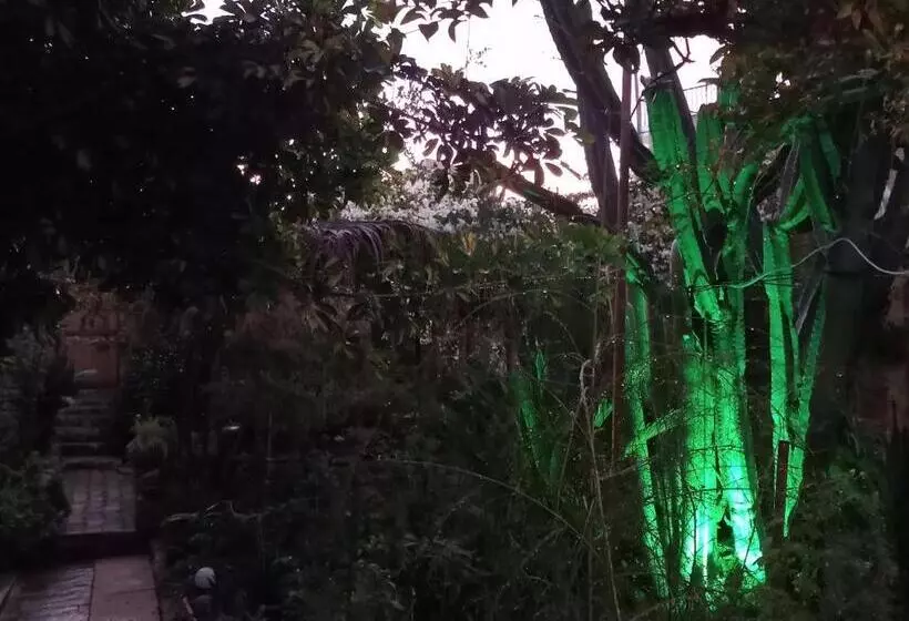ベッドアンドブレックファースト Mystery Garden Guest House