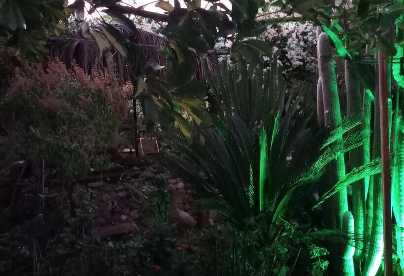 مبيت وإفطار Mystery Garden Guest House