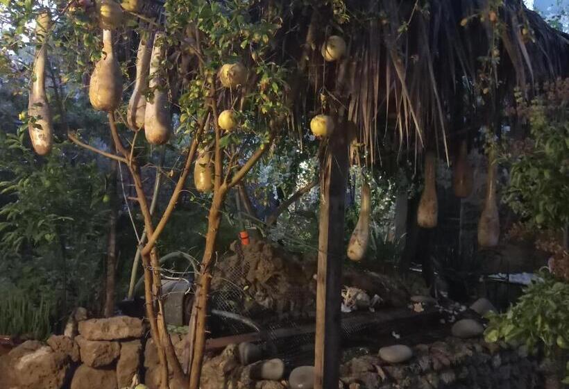 مبيت وإفطار Mystery Garden Guest House