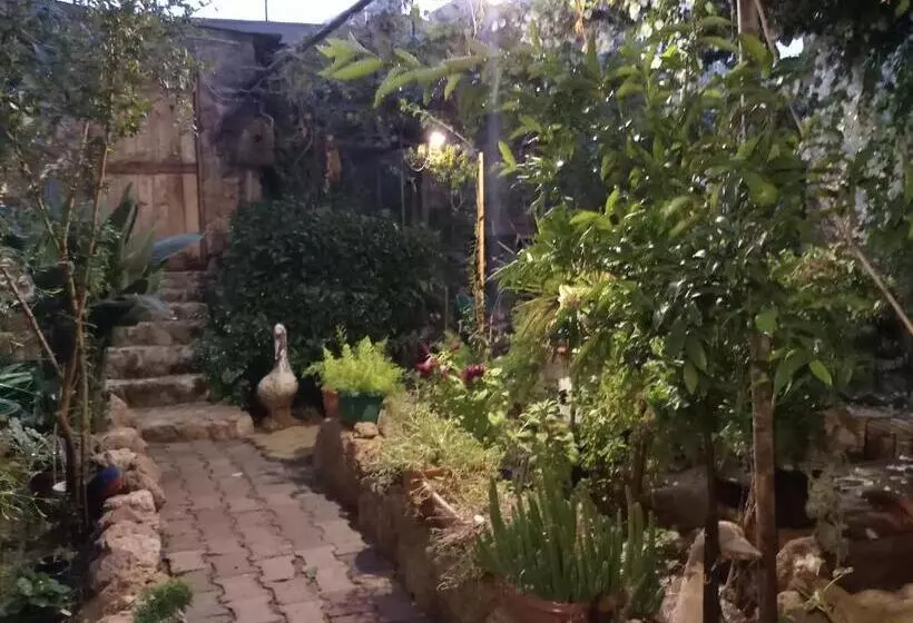 ベッドアンドブレックファースト Mystery Garden Guest House
