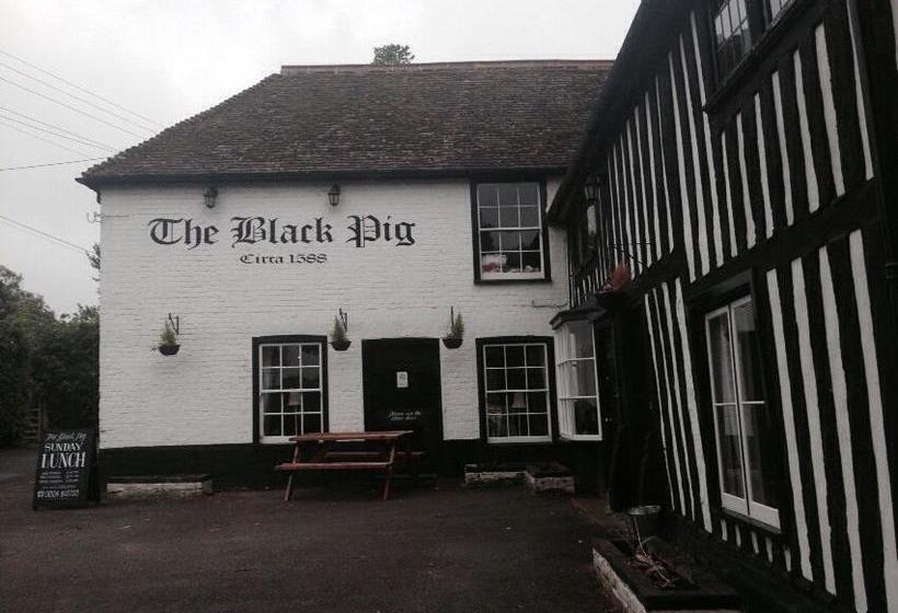 مبيت وإفطار The Black Pig Public House