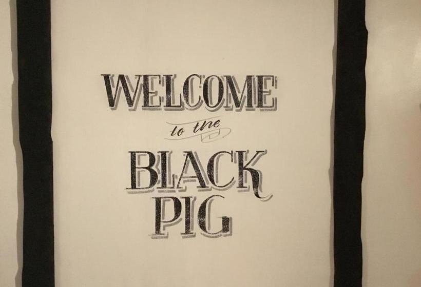 مبيت وإفطار The Black Pig Public House