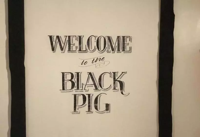 ベッドアンドブレックファースト The Black Pig Public House