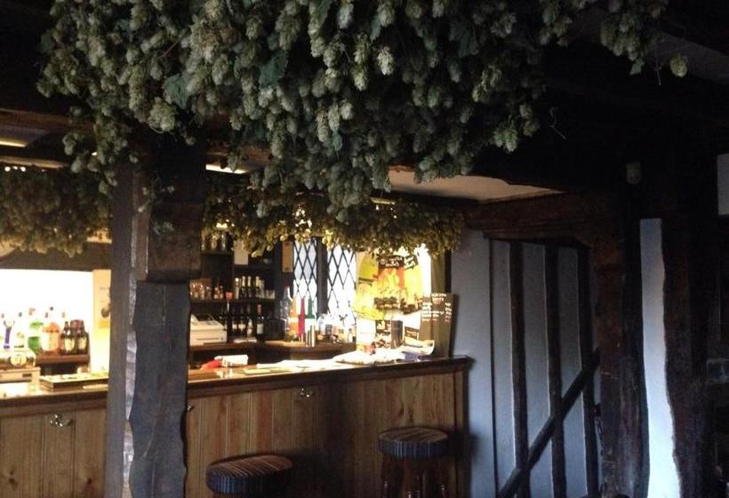 مبيت وإفطار The Black Pig Public House