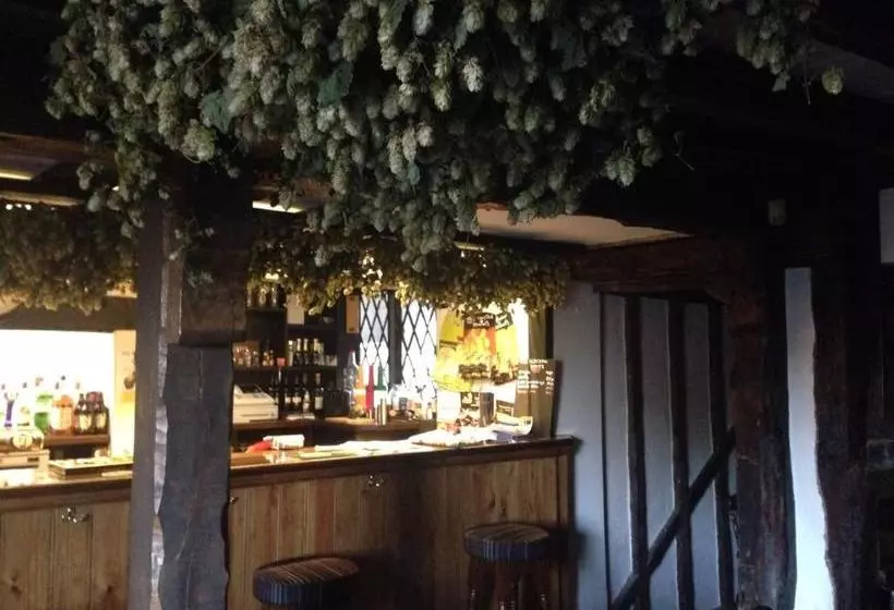 ベッドアンドブレックファースト The Black Pig Public House