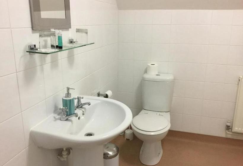 مبيت وإفطار The Black Pig Public House