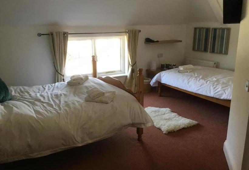 مبيت وإفطار The Black Pig Public House