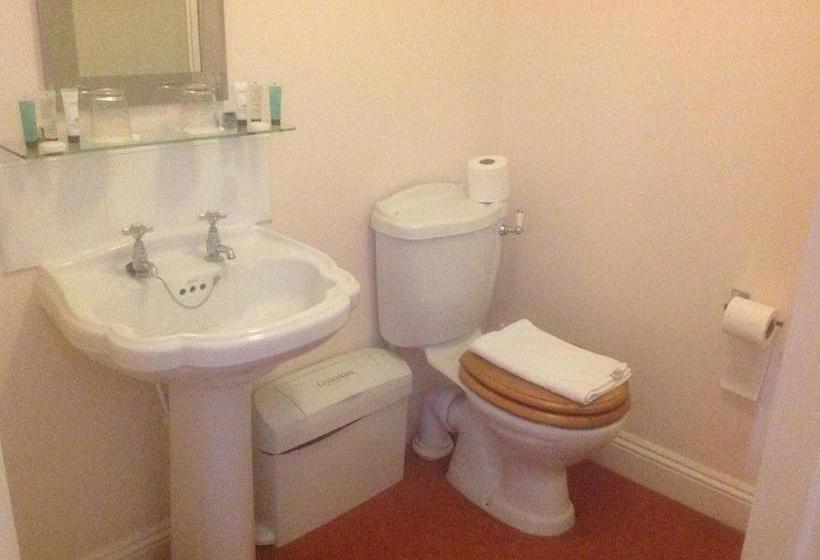 مبيت وإفطار The Black Pig Public House