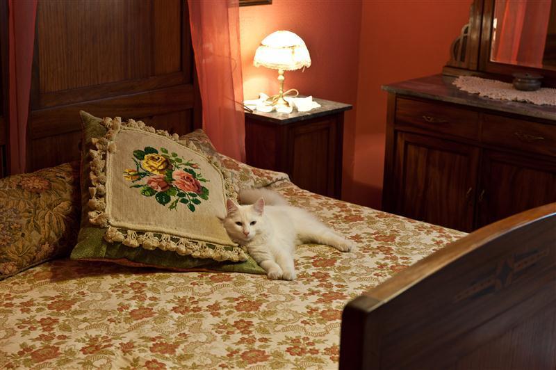 בית מלון כפרי B&b Del Tempo Stretto