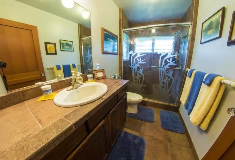 هتل Hale Ho O Maha Bed And Breakfast