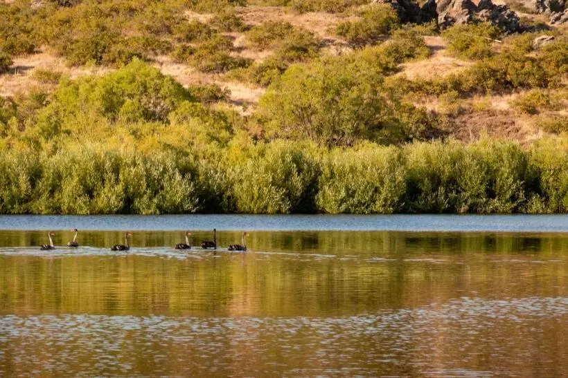 Aamiaismajoitus (B&B) About Thyme For Sleeps & Treats