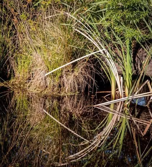 Aamiaismajoitus (B&B) About Thyme For Sleeps & Treats