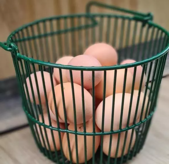 Aamiaismajoitus (B&B) About Thyme For Sleeps & Treats