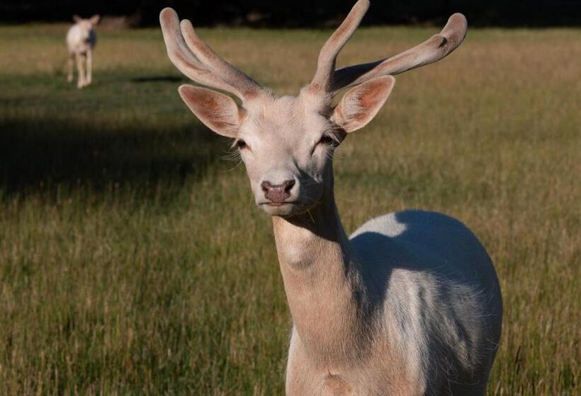 住宿加早餐  About Thyme For Sleeps & Treats