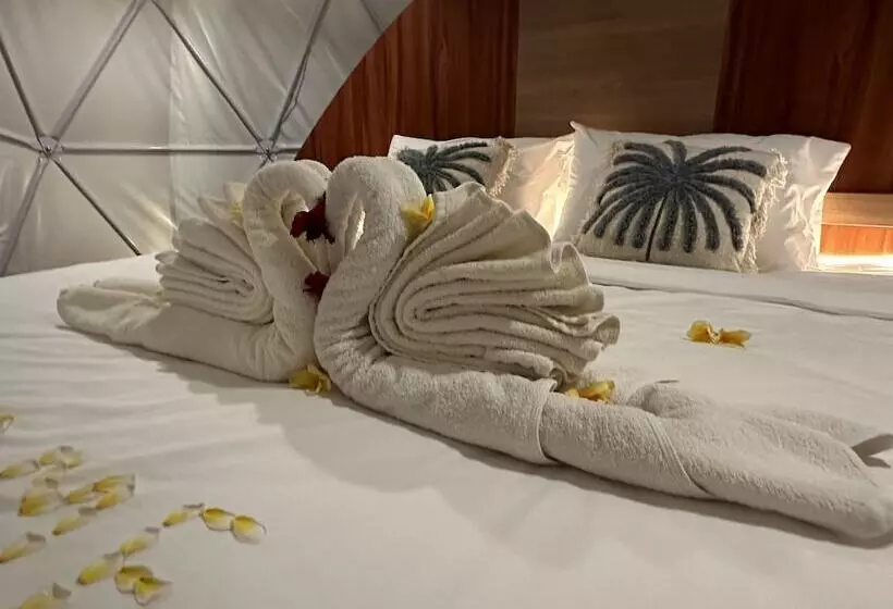 Hotelli Glamping @ Pebbles & Fins