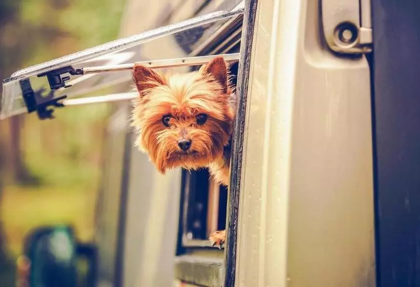 Prima Resort Boddenblick   Camping & Tiny House Resort