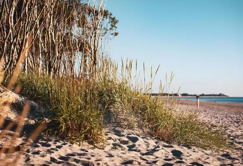 Prima Resort Boddenblick   Camping & Tiny House Resort