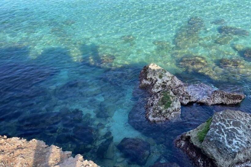 پانسیون Blue House Sul Mare