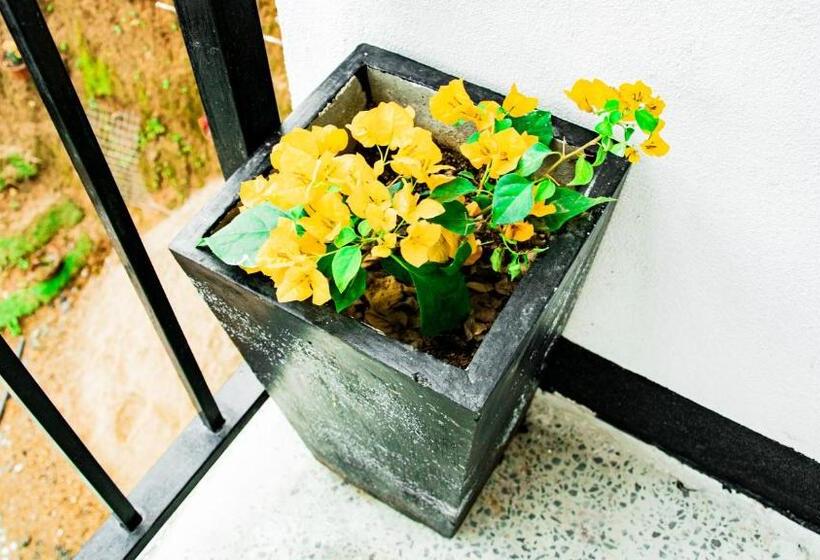 Pensjonat Wonder Mount Resort